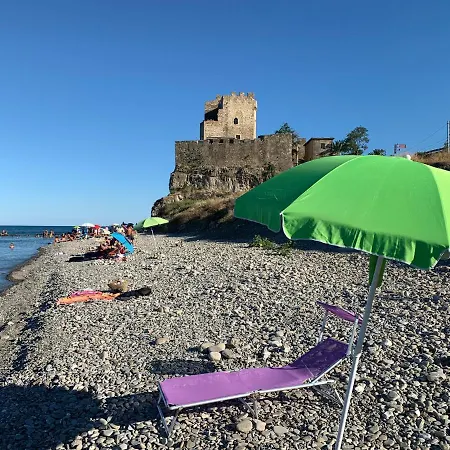L'ulivo *