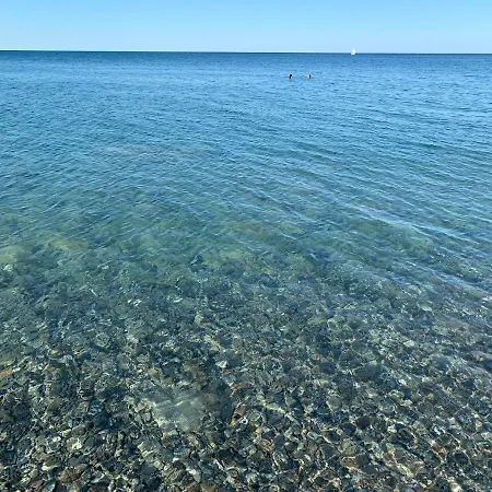 L'ulivo *